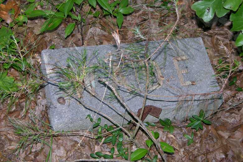 William Henry Wade and Ziporah Ann Hunt Wade