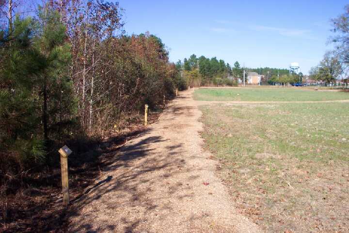 Along the Trail