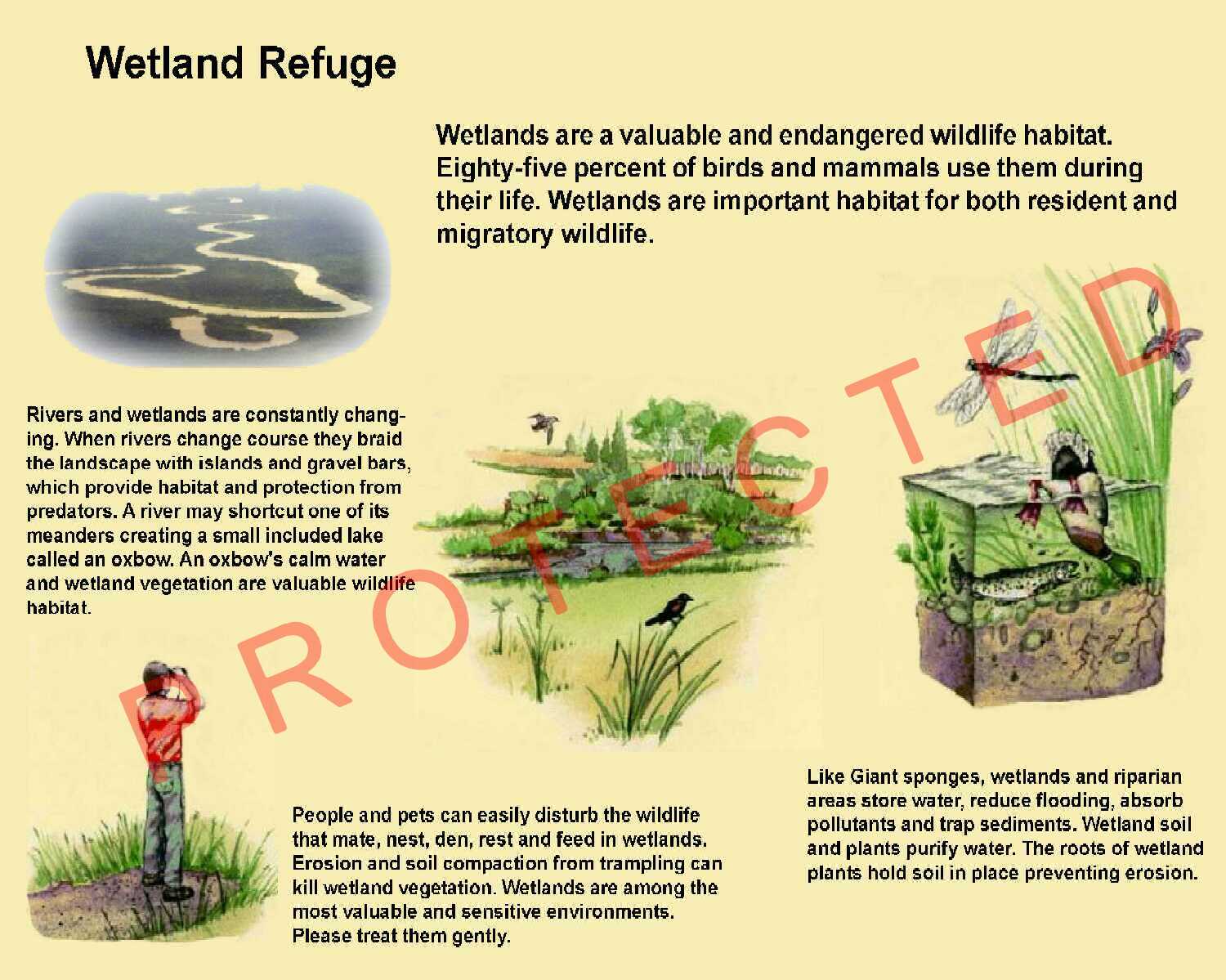 Large Format Interpretive Display